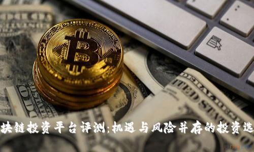 区块链投资平台评测:机遇与风险并存的投资选择