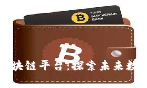 国家支持的区块链平台：探索未来数字经济的基石