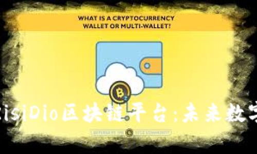 全方位解析RisiDio区块链平台：未来数字经济的引擎