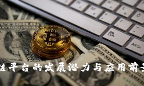 新型区块链平台的发展潜力与应用前景深入分析
