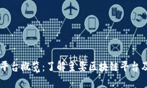 区块链平台概览：了解主要区块链平台及其特色