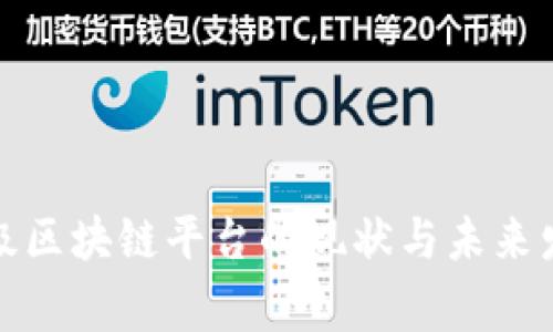 : 国家级区块链平台的现状与未来发展分析