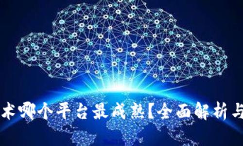 区块链技术哪个平台最成熟？全面解析与综合评比