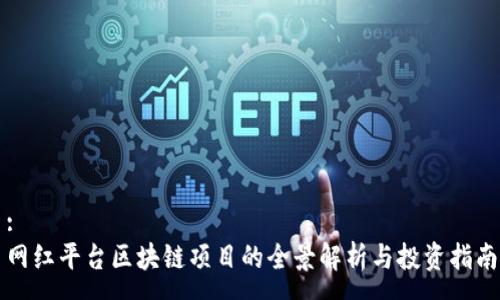 :
网红平台区块链项目的全景解析与投资指南