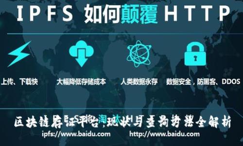 区块链存证平台:现状与查询方法全解析
