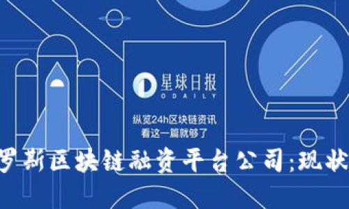 深入了解俄罗斯区块链融资平台公司：现状、发展与挑战