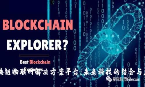 区块链物联网解决方案平台：未来科技的结合与应用