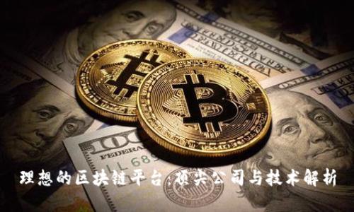 理想的区块链平台：顶尖公司与技术解析