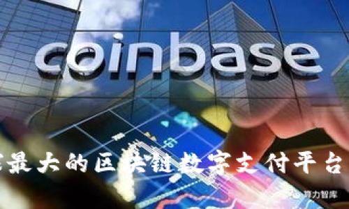 全球最大的区块链数字支付平台解析
