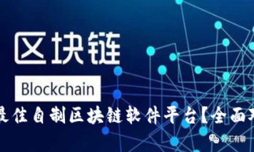 怎么选择最佳自制区块链软件平台？全面对比与分析