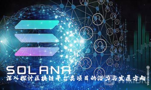 深入探讨区块链平台类项目的潜力与发展方向