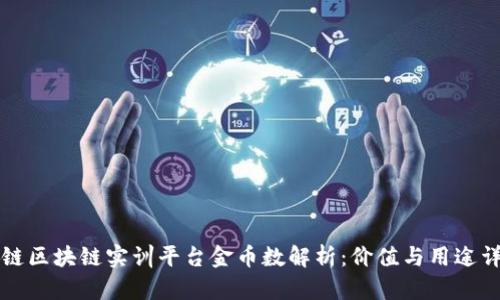 知链区块链实训平台金币数解析：价值与用途详解