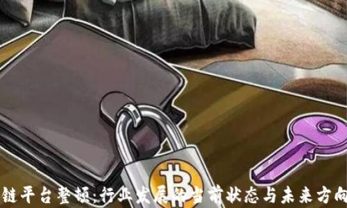 区块链平台整顿:行业发展的当前状态与未来方向分析