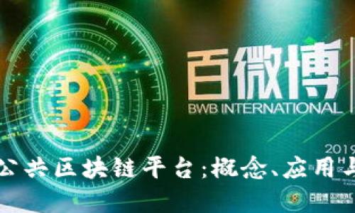 深入理解公共区块链平台：概念、应用与未来发展
