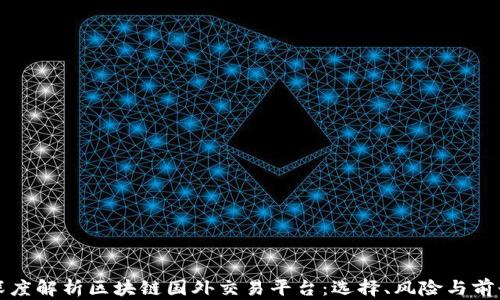 
深度解析区块链国外交易平台：选择、风险与前景