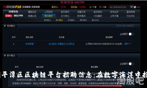bianoti平潭区区块链平台招聘信息：在数字海洋中扬帆起航