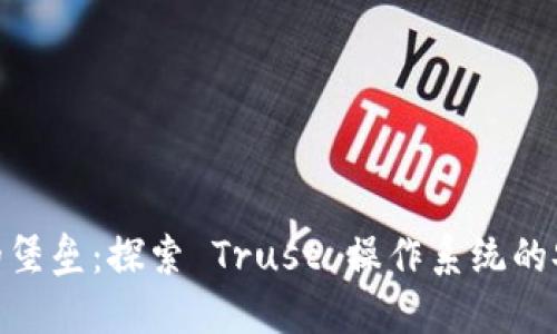 在数字世界的堡垒：探索 Trust 操作系统的安全防护之道