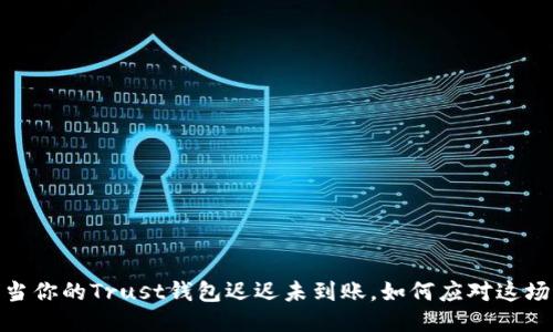 “信任的旅程：当你的Trust钱包迟迟未到账，如何应对这场财务小冒险？”