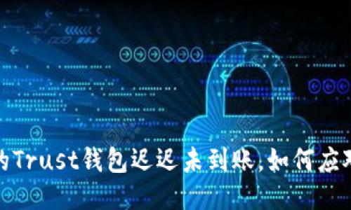 “信任的旅程：当你的Trust钱包迟迟未到账，如何应对这场财务小冒险？”