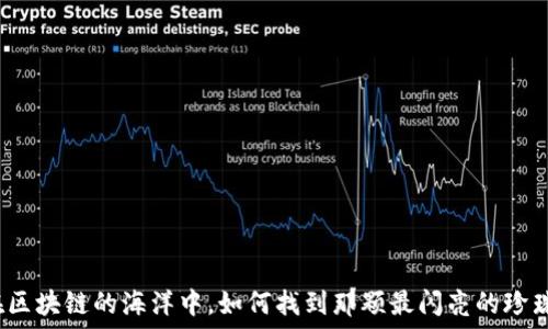   
在区块链的海洋中，如何找到那颗最闪亮的珍珠？