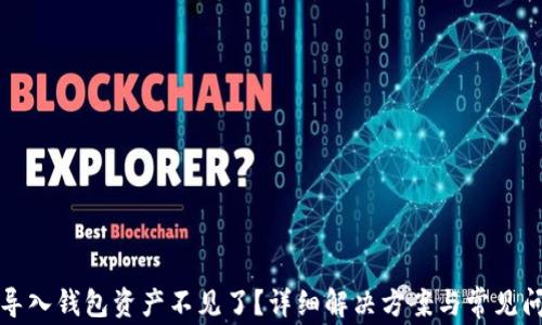 
TP钱包导入钱包资产不见了？详细解决方案与常见问题解析