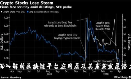 深入解析区块链平台应用层及其未来发展潜力